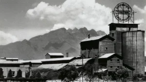 Cemex cumple 120 años